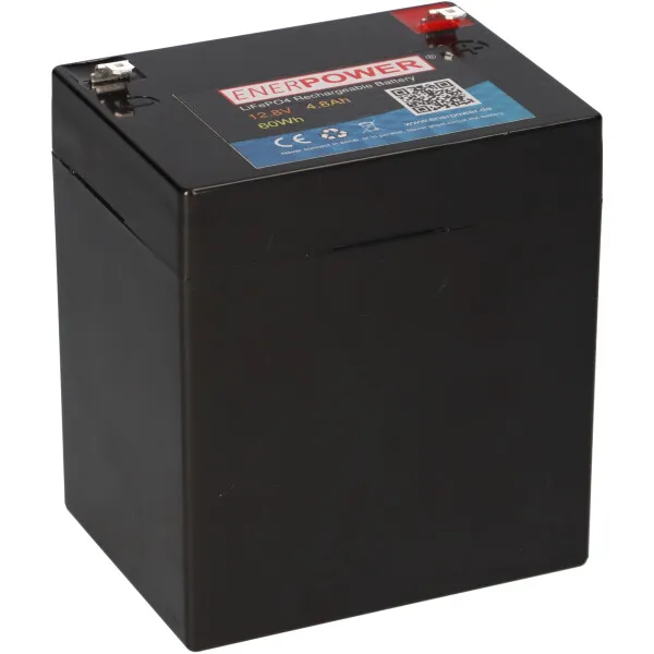 LiFePO4 Akku 12,8V 4,8Ah mit BMS