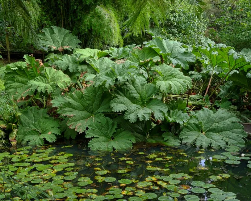 Gartenteich mit solarbetriebener Pumpe